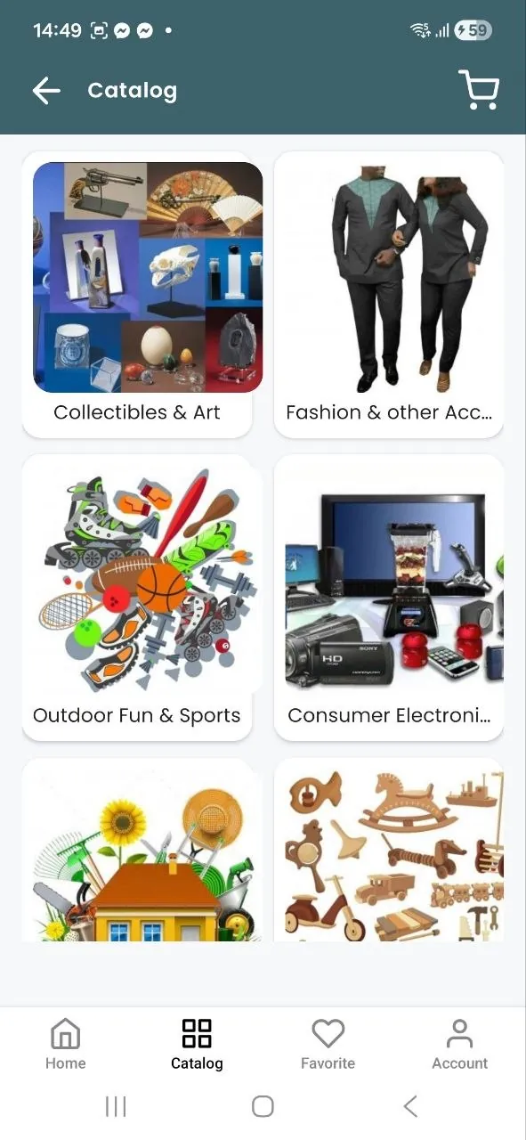 BoleoExpress — the mobile app: catalogue of product categories