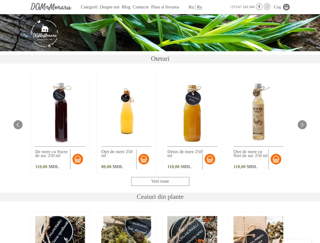 domnmoraru.md, the home page